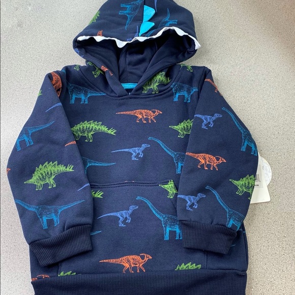 Free Planet dinosaur sweatshirt size 24 mo. - Picture 2 of 10